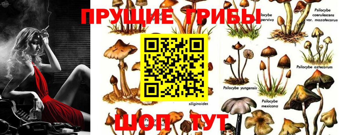 Галлюциногенные грибы мухоморы Кировск